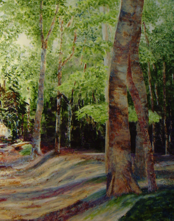 Galerie
